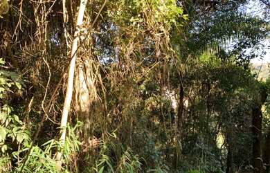 Imagem 3: Terreno Residencial à venda, Campos de Mairiporã, Mairiporã - TE0010