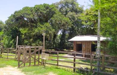 Imagem 3: SÍTIO GRAVATAÍ RS