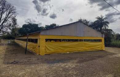 Imagem 4: CAFÉ SEM TROCO/PADF, CHÁCARA/GRANJA COM PRODUÇÃO DE FRANGOS