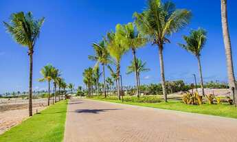 Imagem 5: TERRENO RESIDENCIAL em MATA DE SÃO JOÃO - BA, COSTA DO SAUÍPE