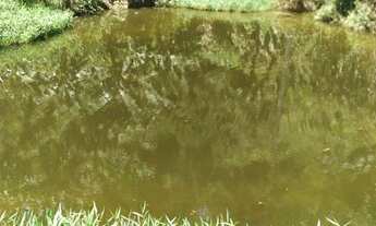 Imagem 6: CHACARA RURAL em CORUPÁ - SC, CAMINHO PEQUENO