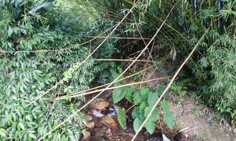 Imagem 5: CHACARA RESIDENCIAL em SCHROEDER - SC, DUAS MAMAS