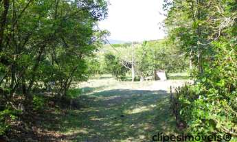 Imagem: SITIO COMERCIAL em PORTO ALEGRE - RS, BELÉM