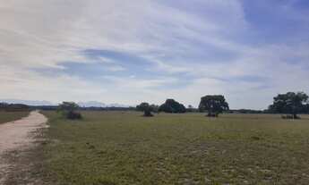 Imagem 3: FAZENDA RURAL em Quissamã - RJ, penha