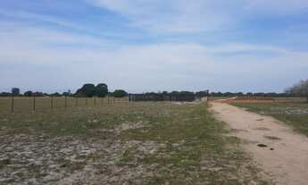 Imagem 5: FAZENDA RURAL em Quissamã - RJ, penha