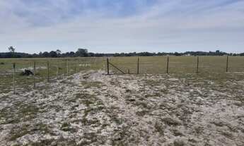 Imagem 4: FAZENDA RURAL em Quissamã - RJ, penha