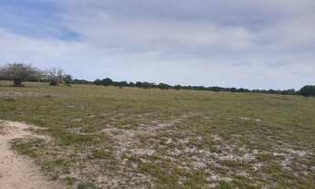 Imagem 7: FAZENDA RURAL em Quissamã - RJ, penha