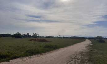 Imagem 2: FAZENDA RURAL em Quissamã - RJ, penha
