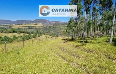 Imagem 3: AREA RURAL em MAIRINQUE - SP, Dona Catarina