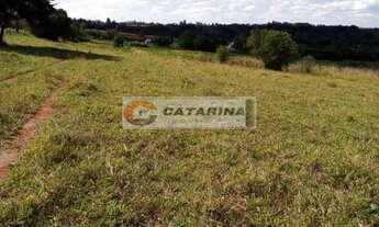 Imagem 2: 5 alqueires na beira da Castelo Branco .km 150