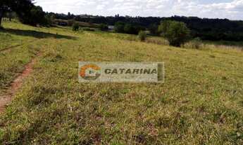 Imagem 5: 5 alqueires na beira da Castelo Branco .km 150