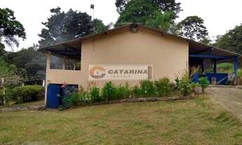 Imagem 4: Chácara formada com 3.000m2