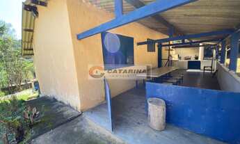 Imagem: Chácara formada com 3.000m2