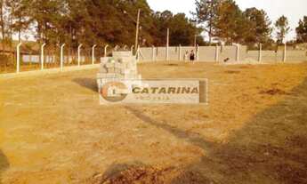 Imagem 3: Ótimo terreno em bairro de chácara!