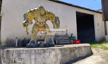 Imagem 6: Excelente área com 70 mil metros