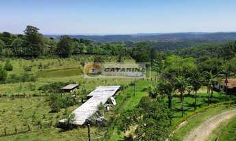 Imagem 4: Excelente área com 70 mil metros