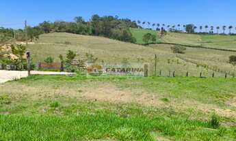 Imagem 3: Excelente área com 70 mil metros