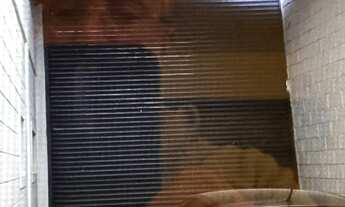 Imagem 6: Vende-se galpão, 3 banheiro na Rua Duarte Coelho