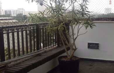 Imagem 6: APARTAMENTO RESIDENCIAL em SAO PAULO - SP, JARDIM EUROPA