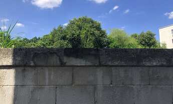 Imagem 3: Campo Grande, Park Renovare, apartamento de 2 quartos com total lazer e segurança