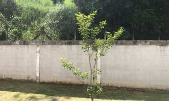 Imagem 4: Campo Grande, Park Renovare, apartamento de 2 quartos com total lazer e segurança