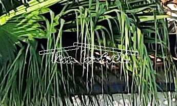 Imagem 7: Chácara no condomínio Nova Rheata em Boituva. Campinho, piscina e churrasqueira!