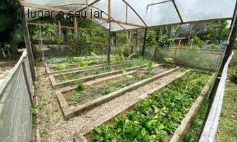 Imagem 6: Sítio na BR 174 no KM 13,5 com casa duplex, 6 quartos e 14.000m²