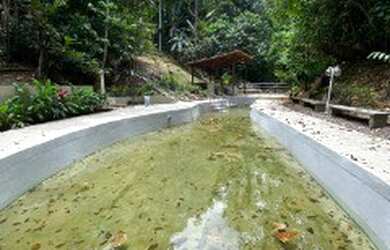 Imagem 2: Sítio na BR 174 no KM 13,5 com casa duplex, 6 quartos e 14.000m²