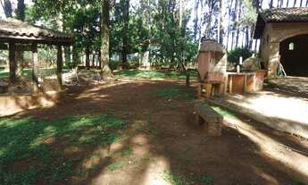 Imagem 2: AREA COMERCIAL em HOLAMBRA - SP, DUAS MARIAS