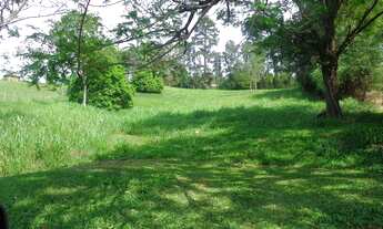 Imagem 2: TERRENO RESIDENCIAL em JAGUARIÚNA - SP, DUAS MARIAS