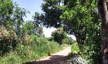 Imagem 5: SITIO RESIDENCIAL em CAMPINAS - SP, CHÁCARA SANTA MARGARIDA