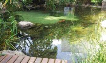 Imagem 3: TERRENO RESIDENCIAL em CAMPINAS - SP, LOTEAMENTO ALPHAVILLE CAMPINAS