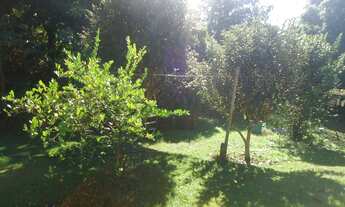 Imagem 5: CHACARA RESIDENCIAL em CAMPINAS - SP, BAIRRO BANANAL