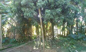 Imagem 6: CHACARA RESIDENCIAL em CAMPINAS - SP, BAIRRO BANANAL