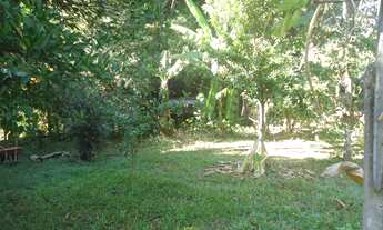 Imagem 7: CHACARA RESIDENCIAL em CAMPINAS - SP, BAIRRO BANANAL