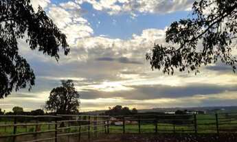Imagem: SITIO RESIDENCIAL em PAULÍNIA - SP, JOÃO
