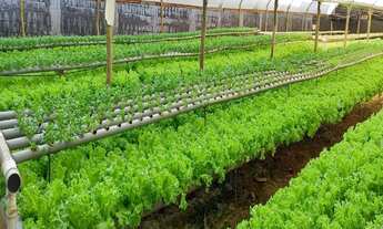 Imagem 5: TERRENO COMERCIAL em CAMPINAS - SP, CIDADE SATÉLITE ÍRIS