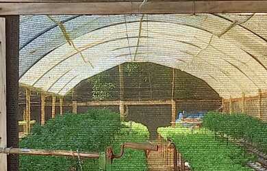 Imagem 6: TERRENO COMERCIAL em CAMPINAS - SP, CIDADE SATÉLITE ÍRIS