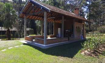 Imagem 6: SITIO RURAL em JAGUARIÚNA - SP, JARDIM SÃO JOÃO