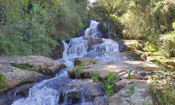 Imagem: SITIO RURAL em SENADOR AMARAL - MG, ESTRADA