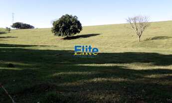 Imagem: SITIO RESIDENCIAL em AMPARO - SP, BAIRRO