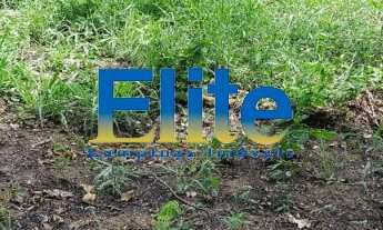 Imagem 6: CHACARA RURAL em ENGENHEIRO COELHO - SP, LAGOA BONITA