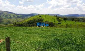 Imagem 4: FAZENDA RURAL em AMPARO - SP, BAIRRO DOS ROSAS