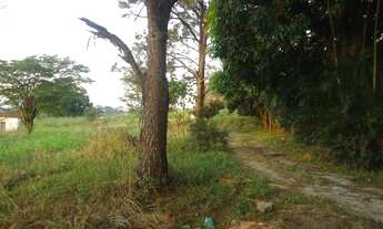 Imagem 2: ÁREA RURAL À VENDA, BARÃO GERALDO, CAMPINAS