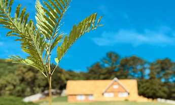 Imagem 3: 1111M² de Área Construída, 1741M² de Área Total