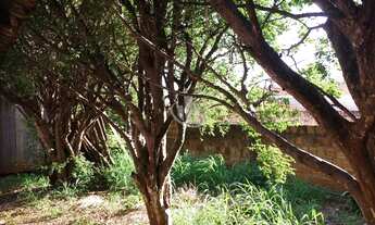 Imagem 3: TERRENO Residencial em ARARAQUARA - SP, VILA XAVIER (VILA XAVIER