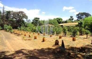 Imagem 6: Chácara residencial para Venda