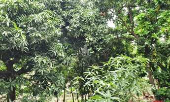 Imagem 6: CHACARA A VENDA EM ARARAQUARA