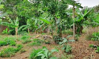 Imagem 5: CHACARA A VENDA EM ARARAQUARA