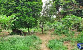 Imagem 2: CHACARA A VENDA EM ARARAQUARA